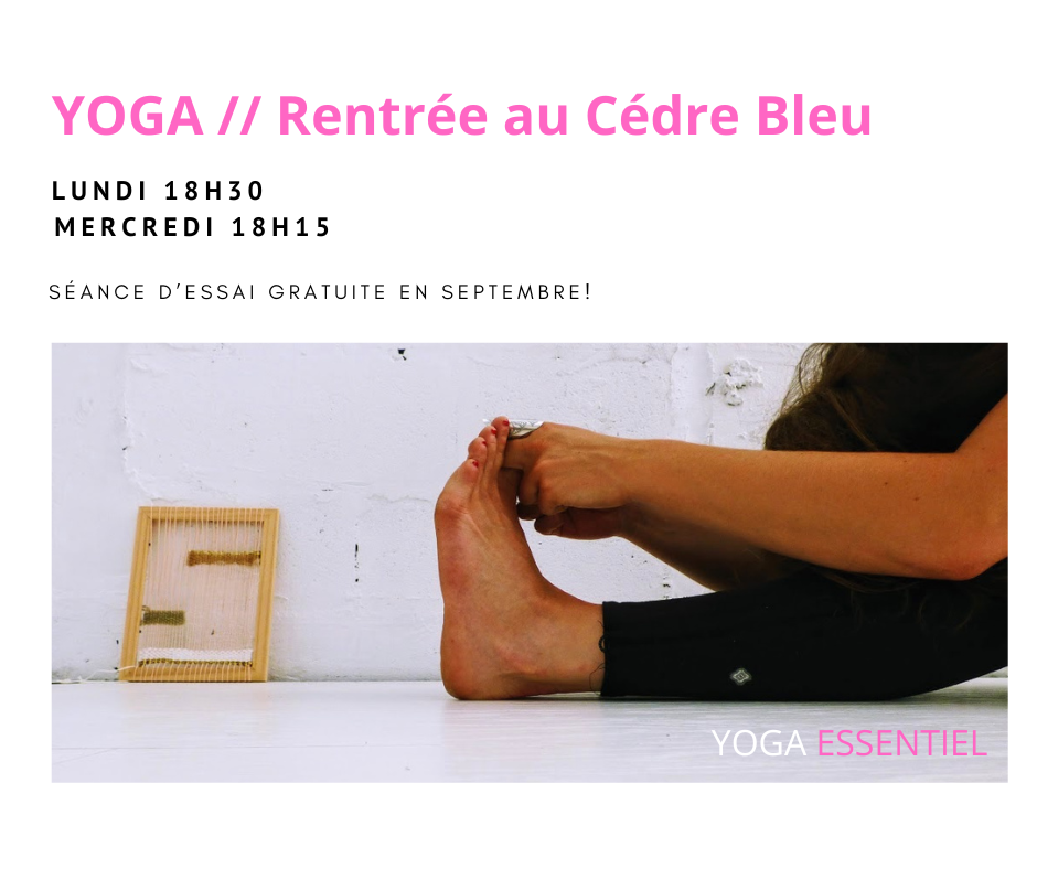 Yoga Essentiel - Cours à Lille Villeneuve d'Ascq Roubaix